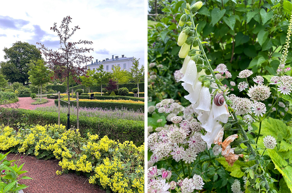 Avreise, hagebes�k og guidet tur